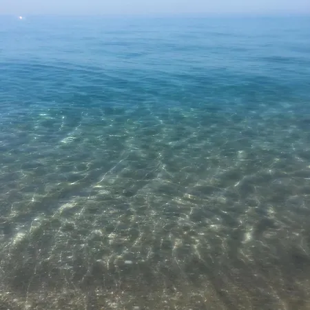 Pionono1 Piscina